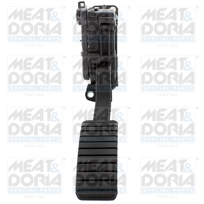 Accelerator Pedal Unit